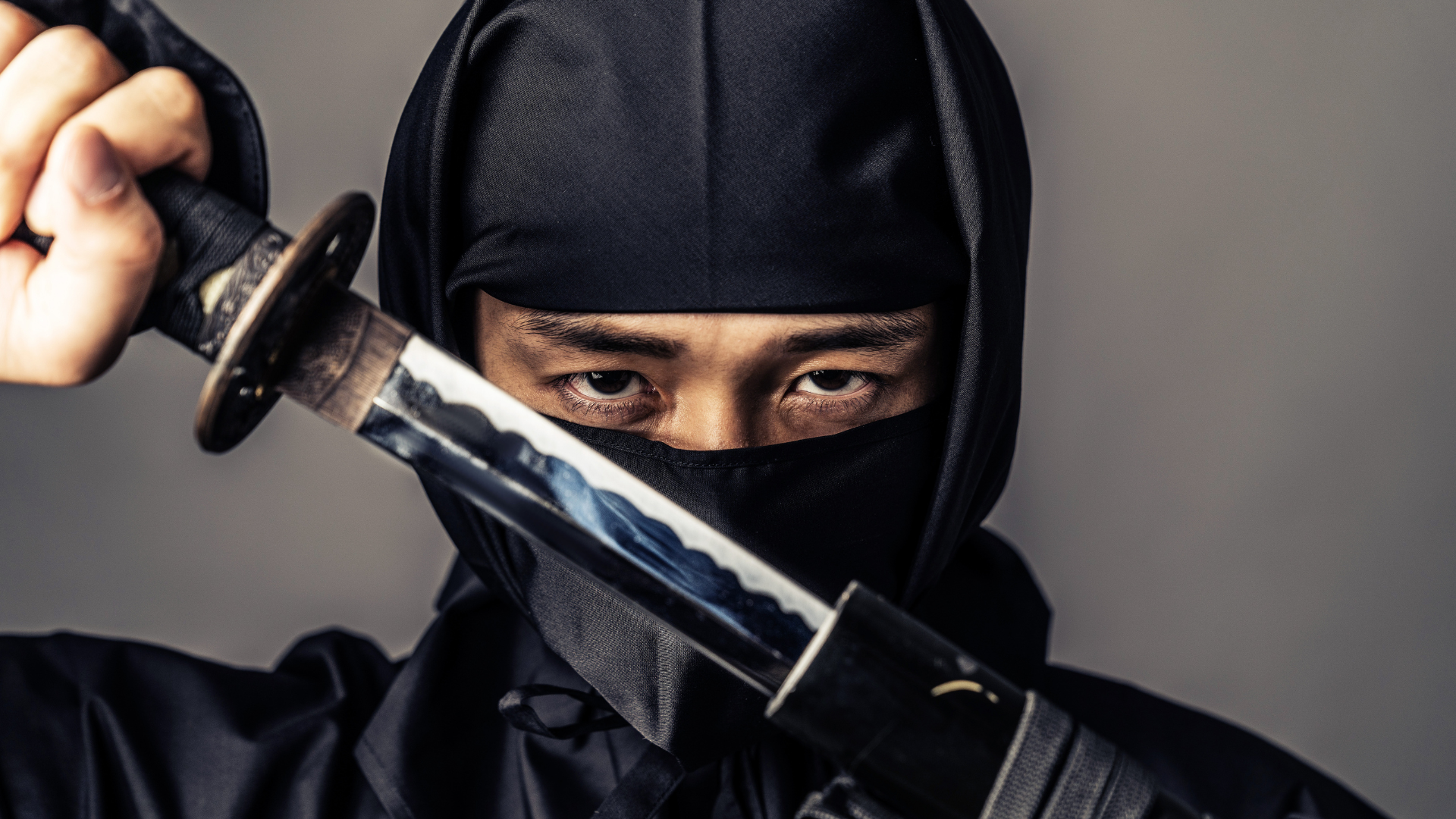 The IT-Ninjas of Management: Why Information Systems are Essential