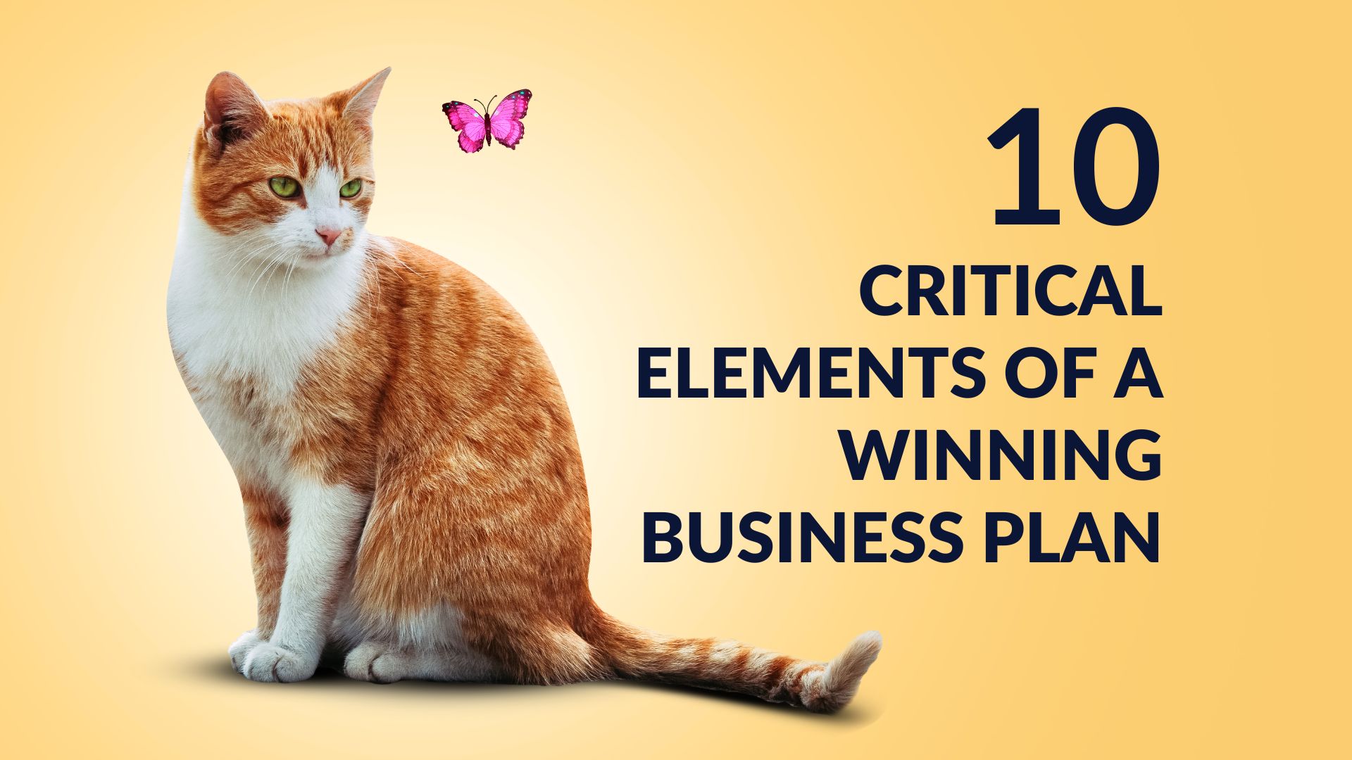 The Student Entrepreneur’s Guide to a Successful Business: Ten Critical Elements of a Winning Business Plan